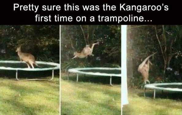 1601350136632.jpeg
