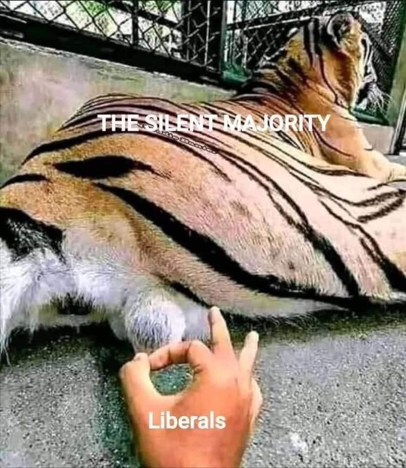 1601416157239.png