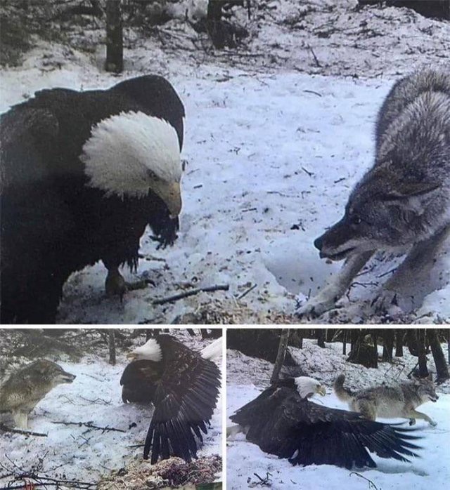 1601495997_dgdmlz9j57.jpeg