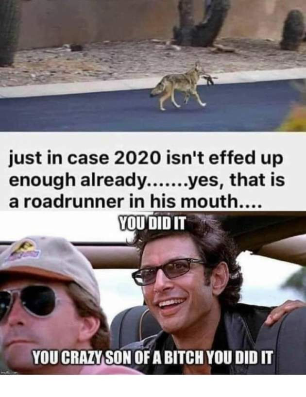 1601604191484.png