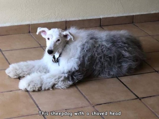 1601833901_94akxokequ.jpeg
