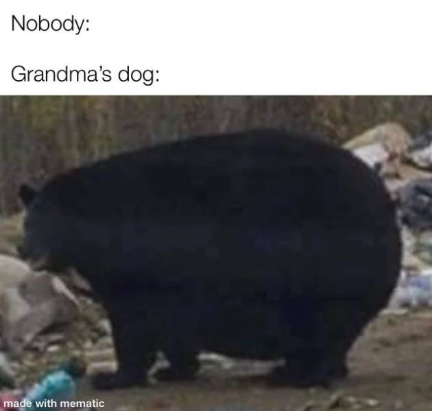 1602018741_jiqs2xr5gm.jpeg