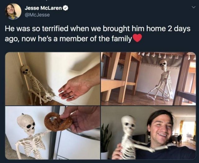 1602191148_pk4uunlmdz.jpeg