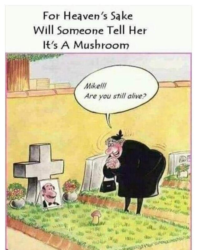 1602736842828.png
