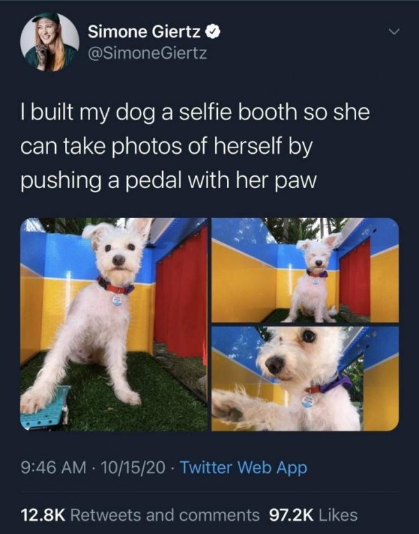 1603047999_sfxgxf.jpeg