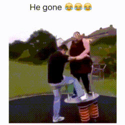 1603249514794.gif