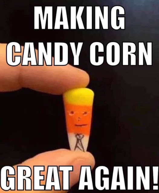 1603310332634.jpeg
