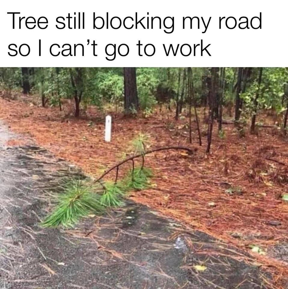 1603398548230.png
