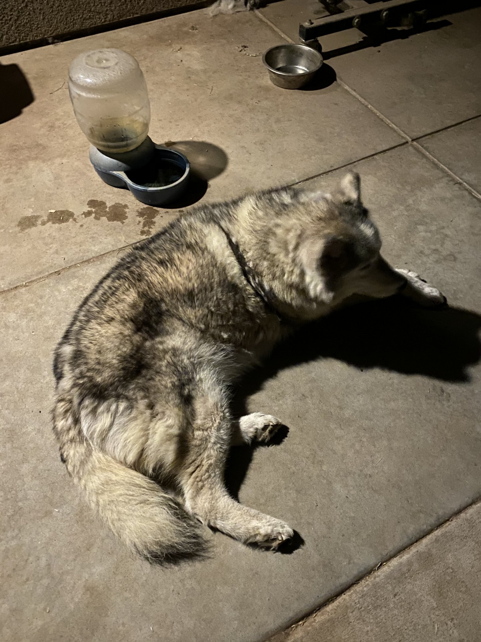 1603615576737.jpeg