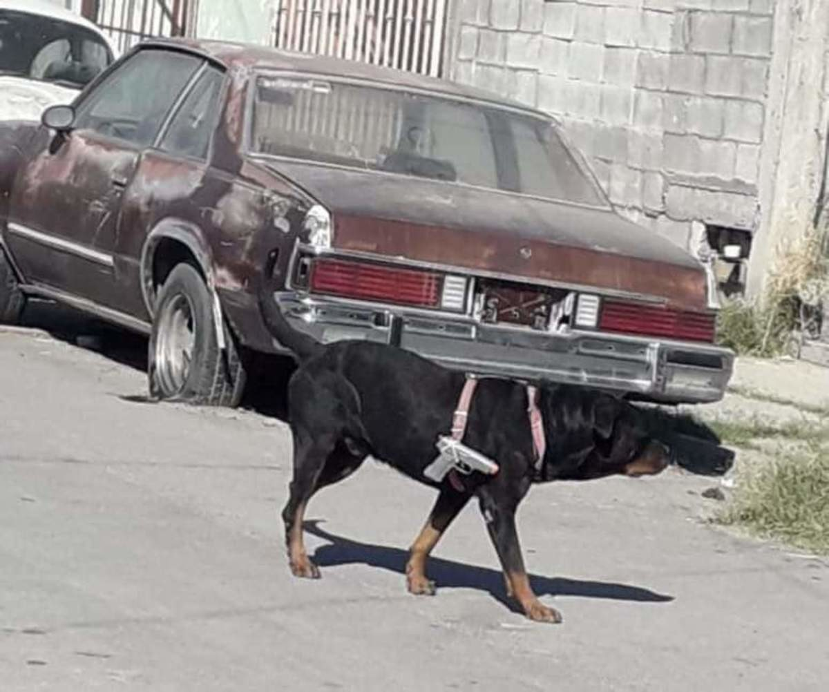 1603715450555.png