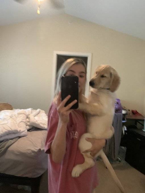 1603802032_elr0m2qpns.jpeg