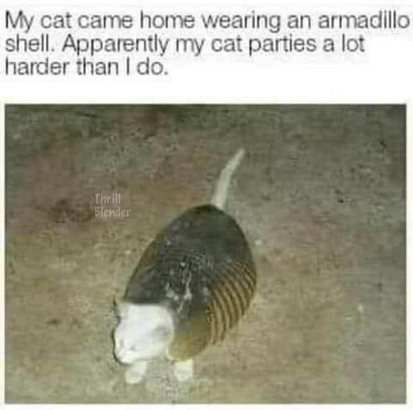 1603973867693.png