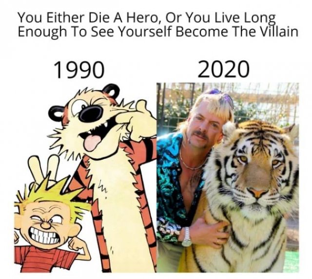 1604005524_n7tdml1ksf.jpeg