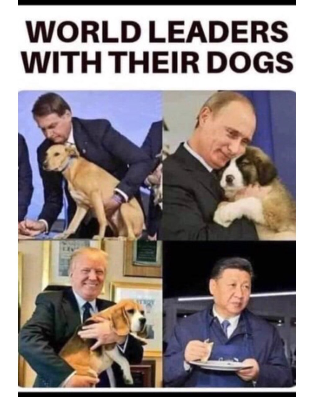 1604350731703.jpeg