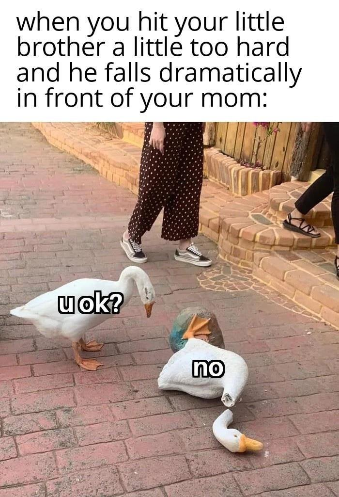 1604407987886.png