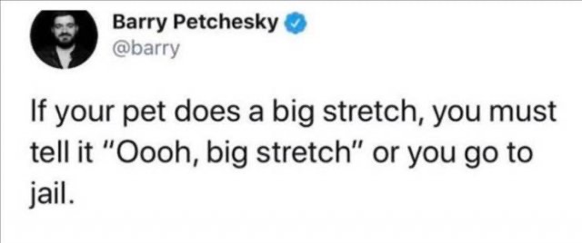 1604421047_8wgkdgm28a.jpeg