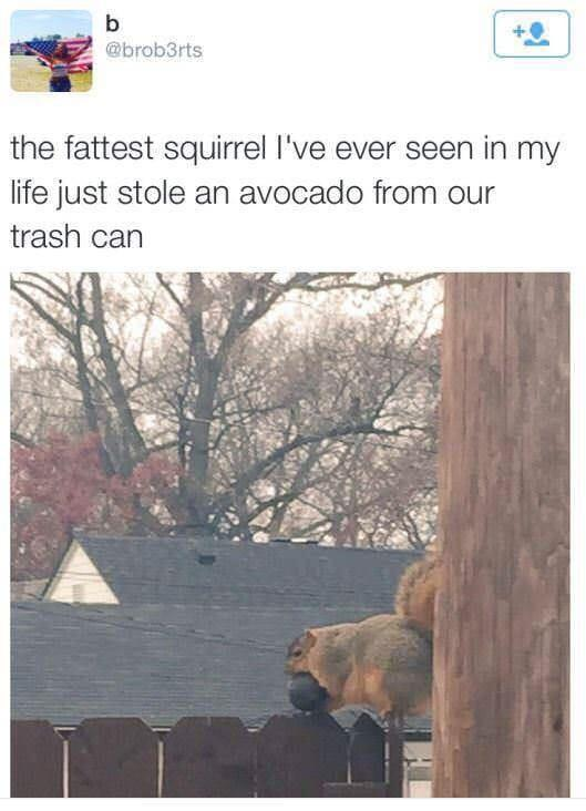 1605119331113.png