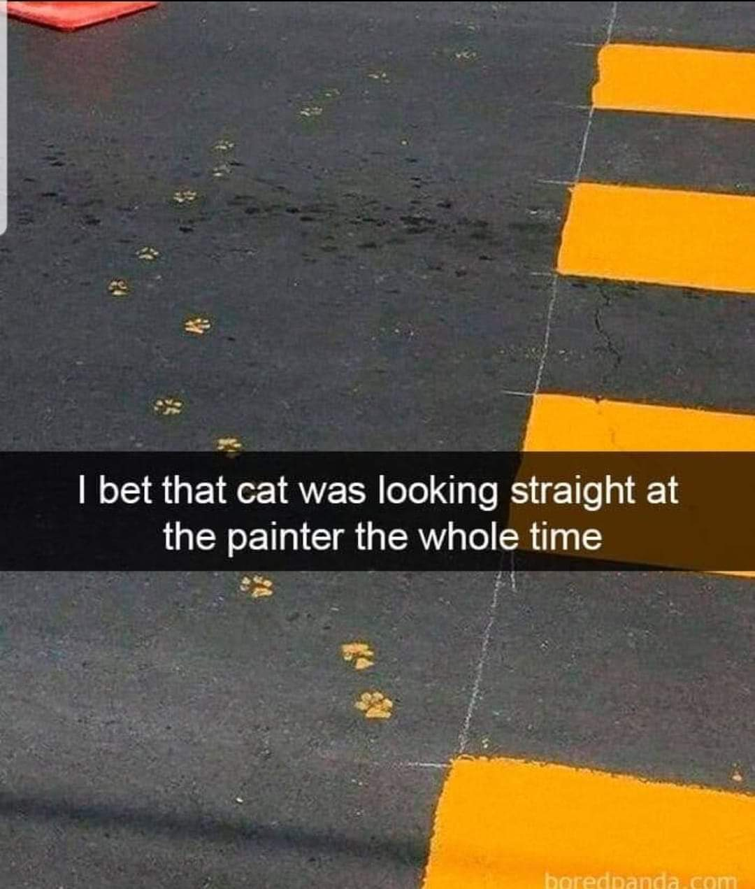 1605726893478.png
