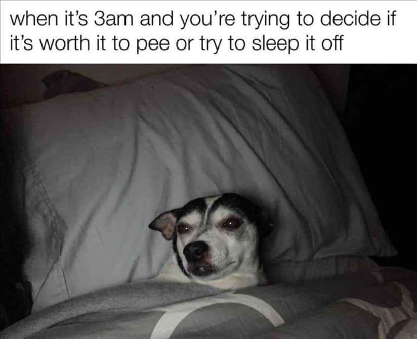 1606339241671.png