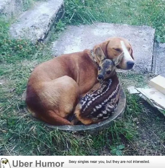 1606357365035.png