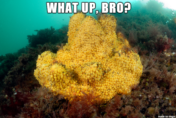 1606358494700.png