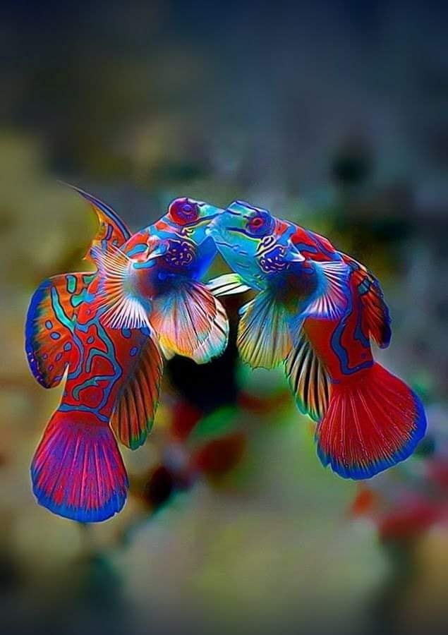 1606589328205.png