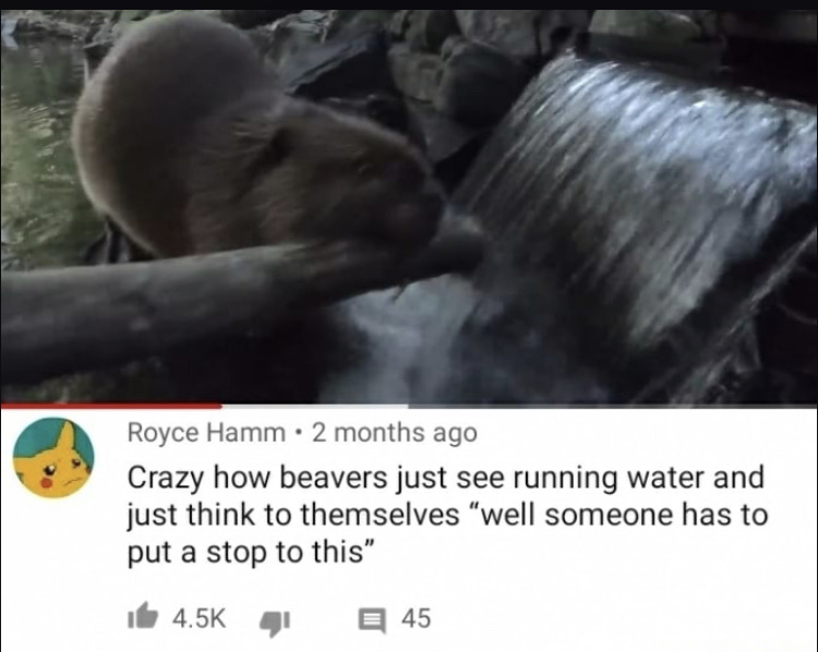 1606852149527.png