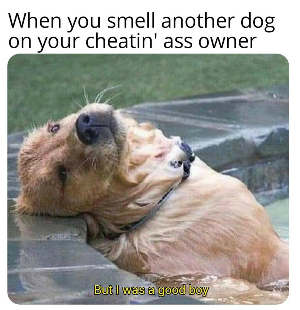 1607159657893.png