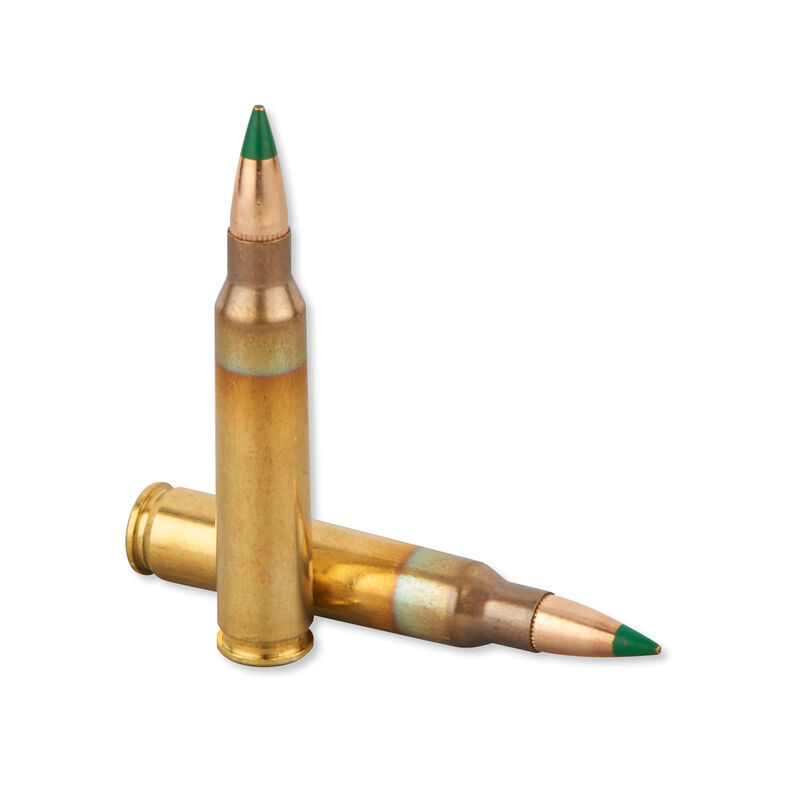 1607264097550.png