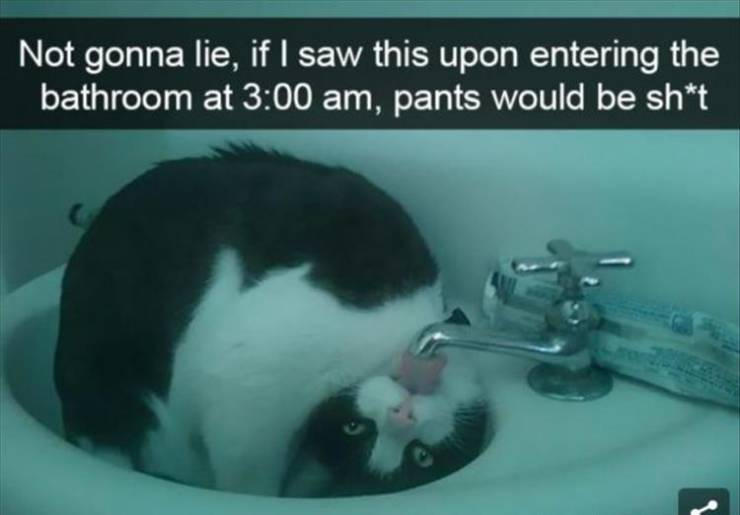 1607346983537.png
