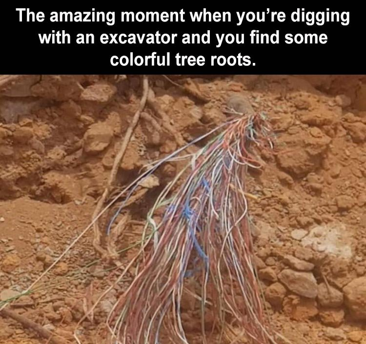 1608129415009.png