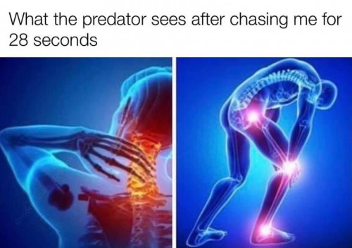 1609034326539.jpeg