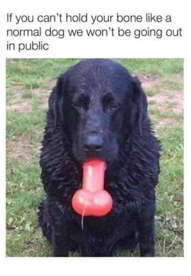 1609222866933.png