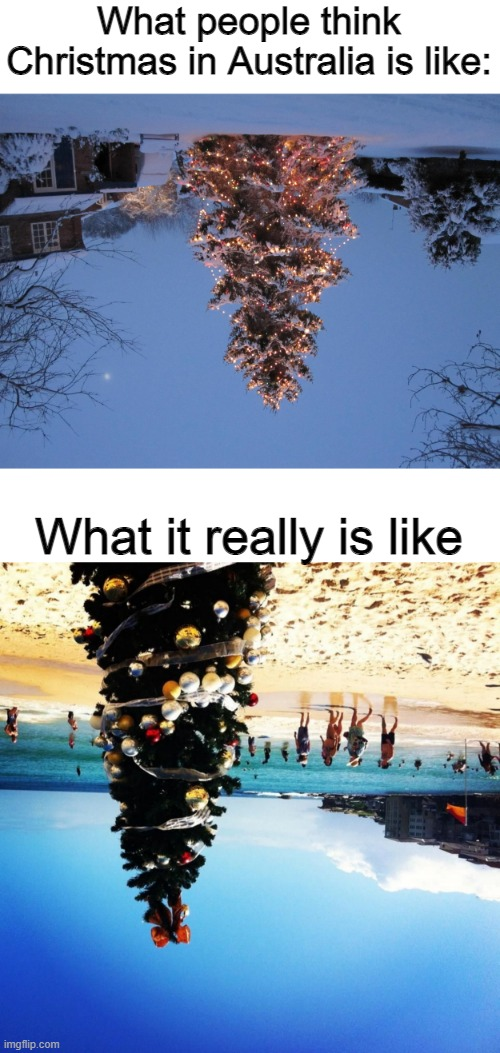 1609478455073.png
