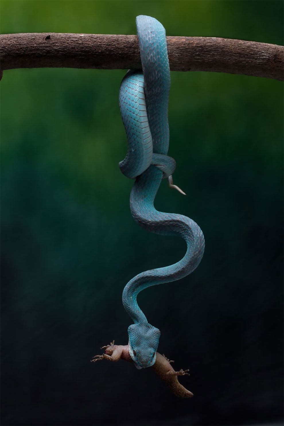 1609556122298.png