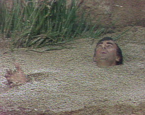 1609722046703.gif