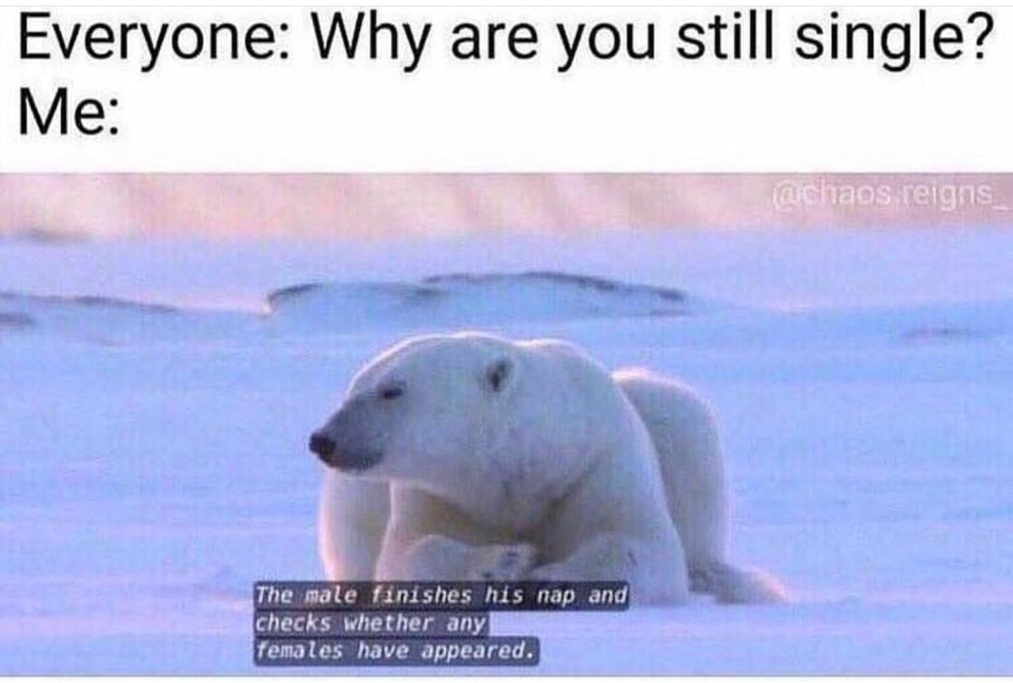 1609860723888.png