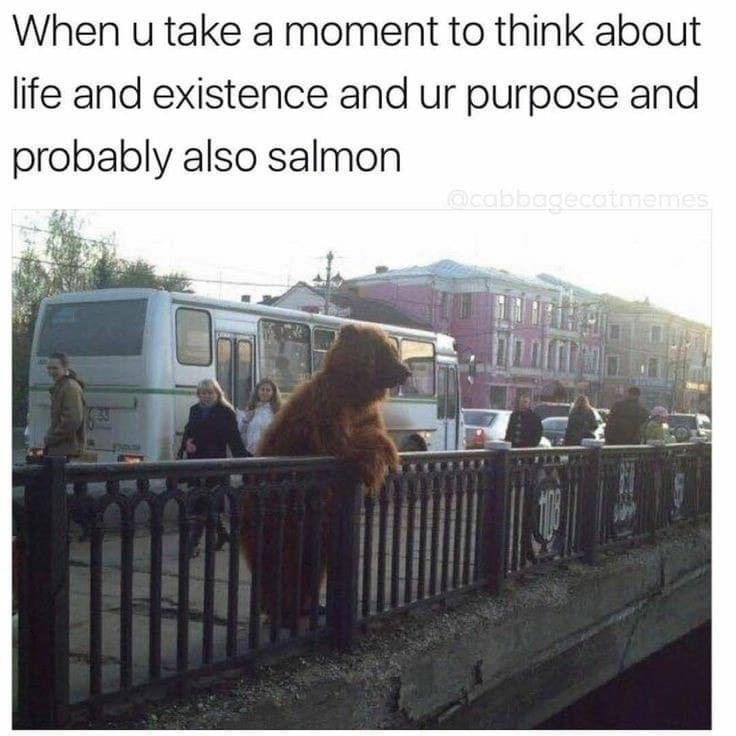1609887096254.png