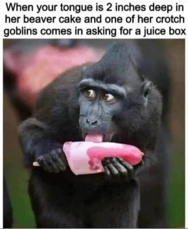161.jpg