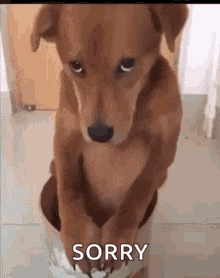 1610119192489.png