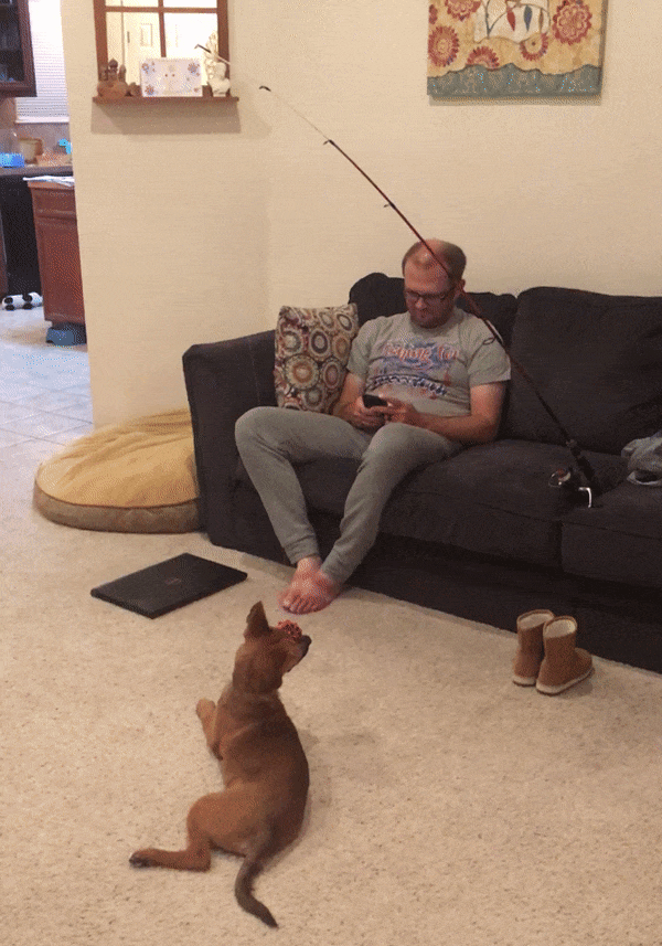 1611071887_b2te15udkn.gif