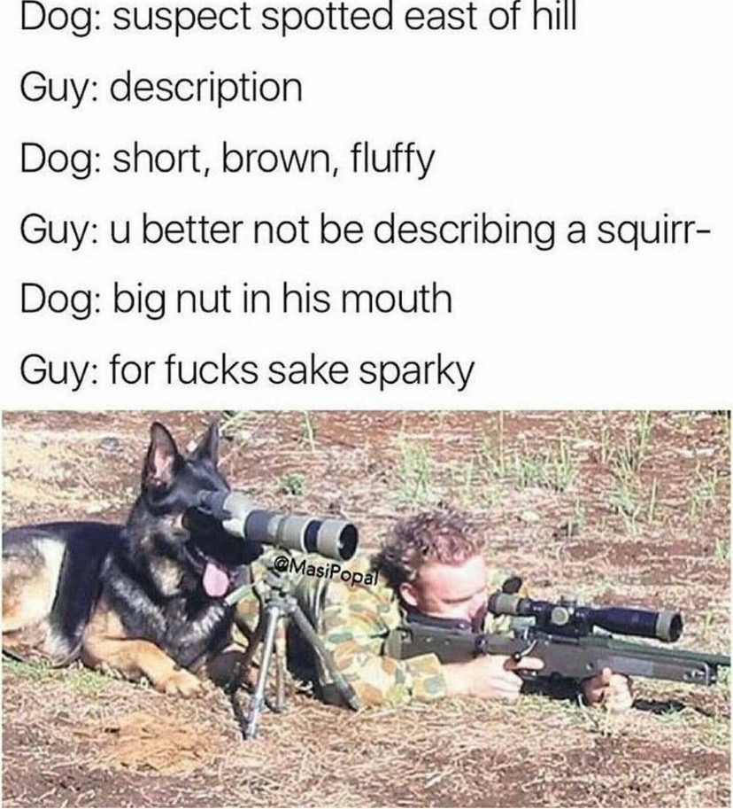 1611454045287.jpeg