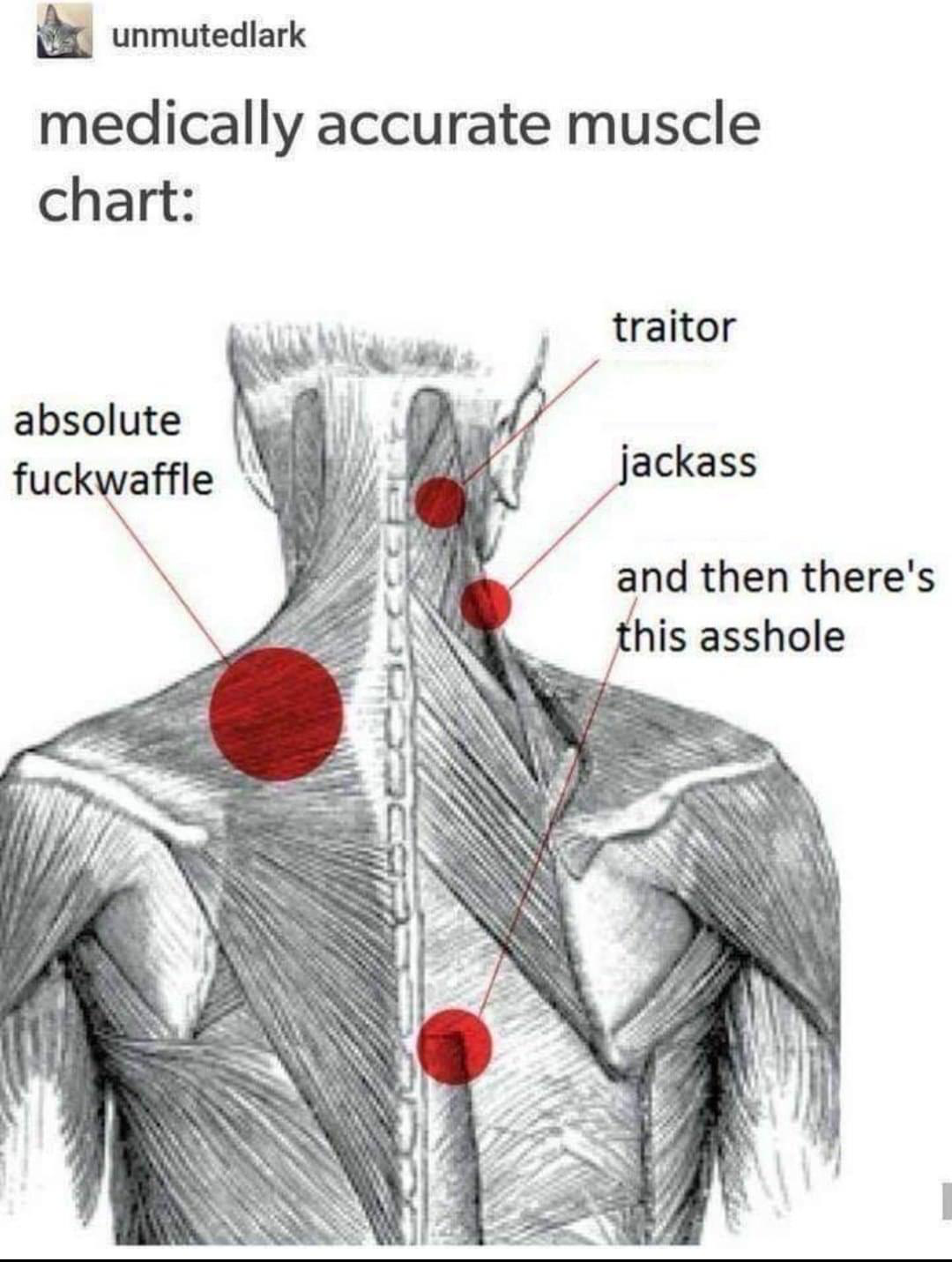 1611640992082.png