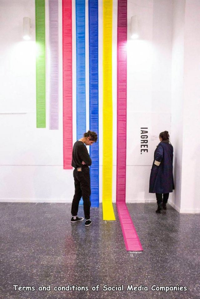 1611868686_ltke0hjb9h.jpg
