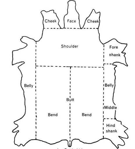 1611957684336.png