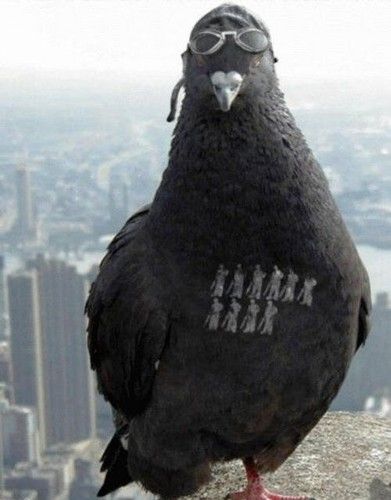 1612012233734.jpeg