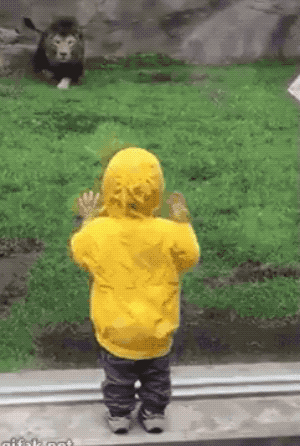 1612277111_rfwja9stkq.gif