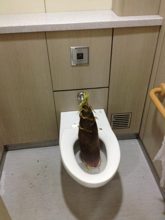 1612450228337.png