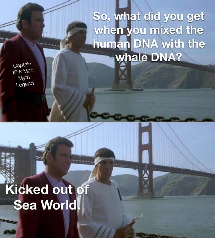 1612722438952.png