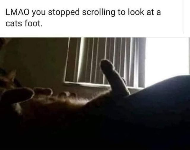 1612836644074.png